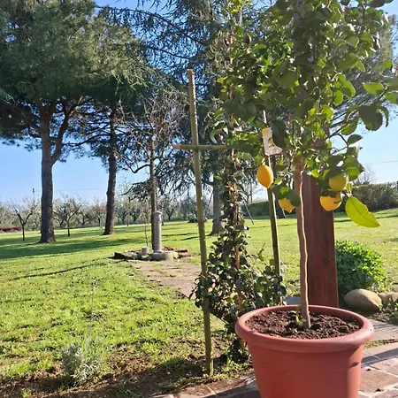 Alojamento de Acomodação e Pequeno-almoço Podere Radici - & Breakfast 4*