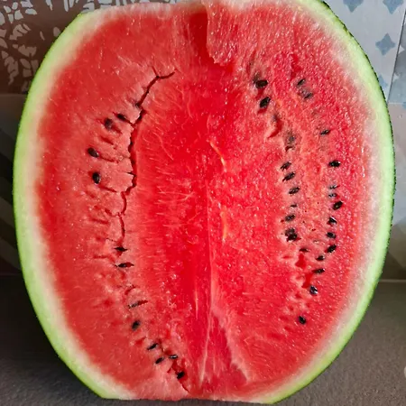 Podere Radici - & Breakfast