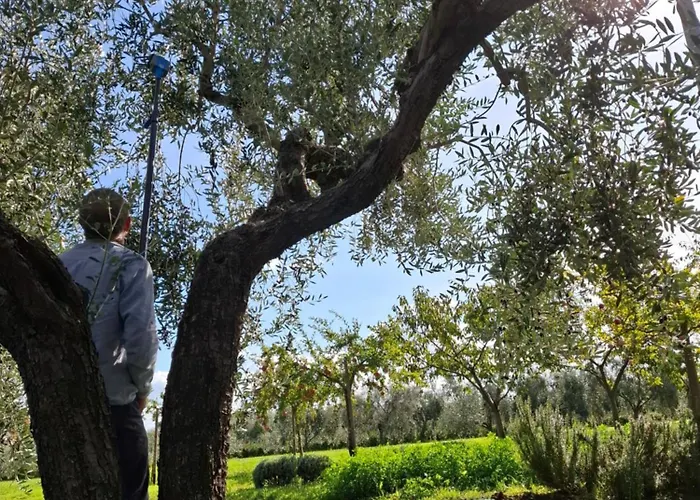 Couette-café Podere Radici - & Breakfast 3*