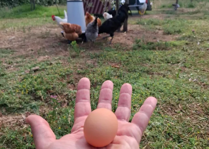 Podere Radici - & Breakfast Misano Adriatico