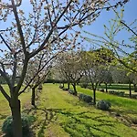 Podere Radici - & Breakfast לינה וארוחת בוקר 4*