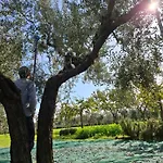 לינה וארוחת בוקר Podere Radici - & Breakfast 4*