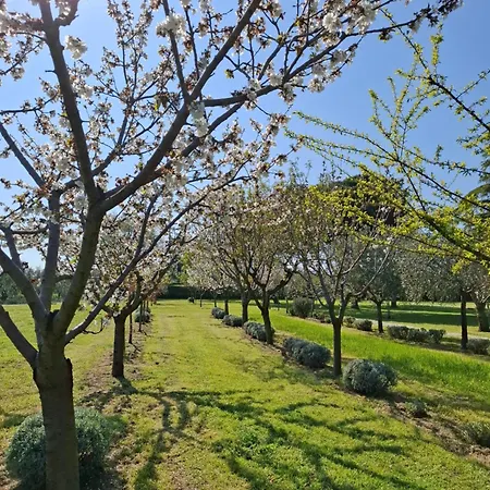 Podere Radici - & Breakfast Bed & Breakfast 3*