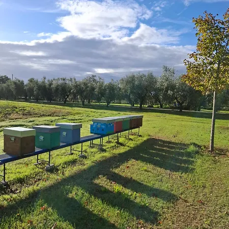 Bed & Breakfast Podere Radici - & Breakfast