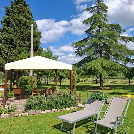 Podere Radici - & Breakfast 3* Misano Adriatico