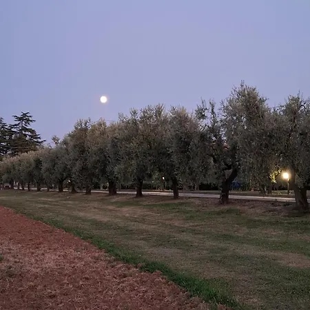 Bed & Breakfast Podere Radici - & Breakfast Misano Adriatico