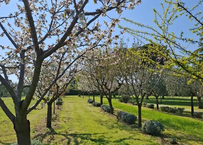 Podere Radici - & Breakfast Bed & Breakfast 3*