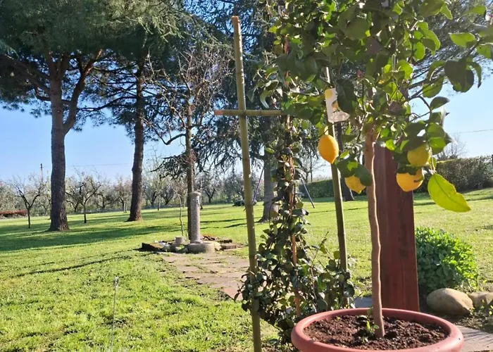 Bed & Breakfast Podere Radici - Room&breakfast 4*