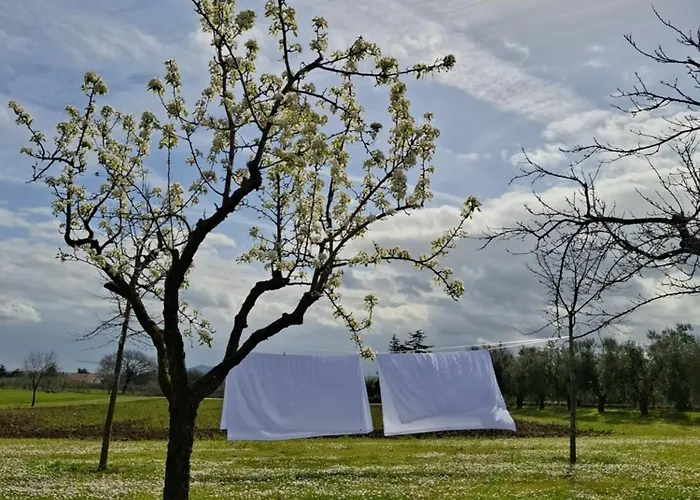 Alojamento de Acomodação e Pequeno-almoço Podere Radici - & Breakfast Misano Adriatico