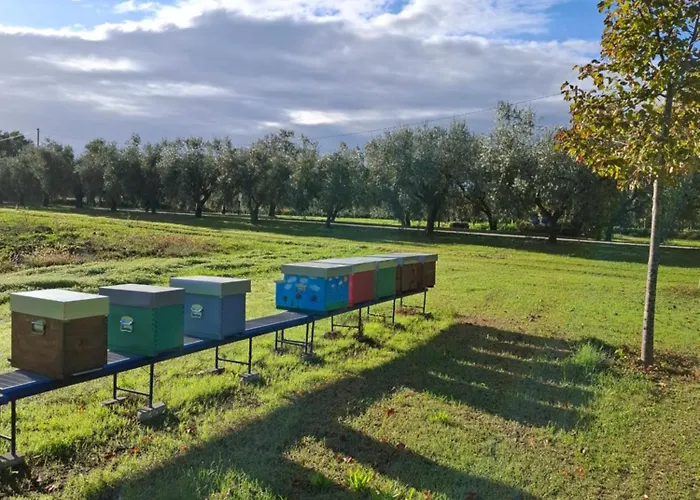 Oda ve Kahvaltı Podere Radici - & Breakfast