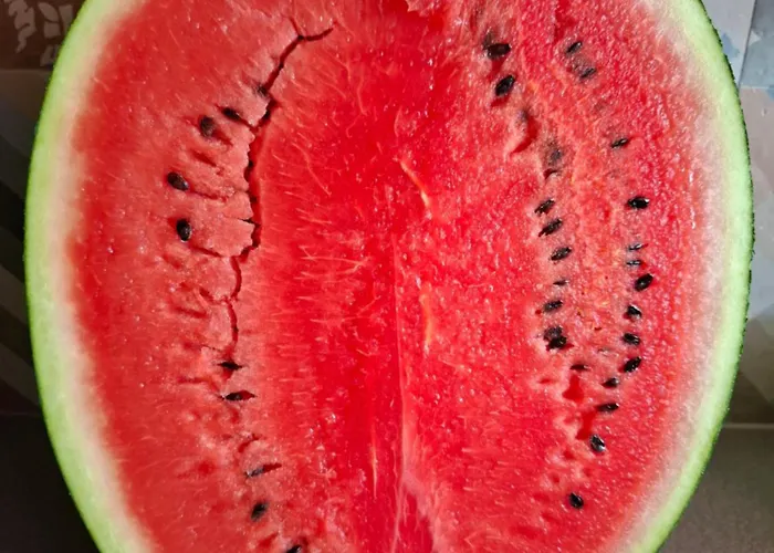 Podere Radici - & Breakfast