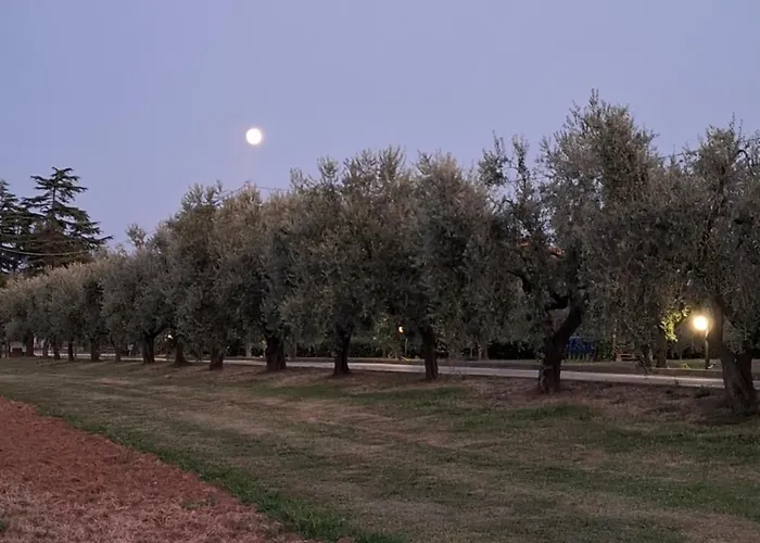 Alojamento de Acomodação e Pequeno-almoço Podere Radici - & Breakfast Misano Adriatico